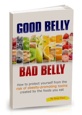 Good Belly, Bad Belly – By Brad Pilon (Author)