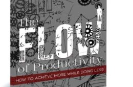 The Flow Of Productivity – By Wilson Meloncelli