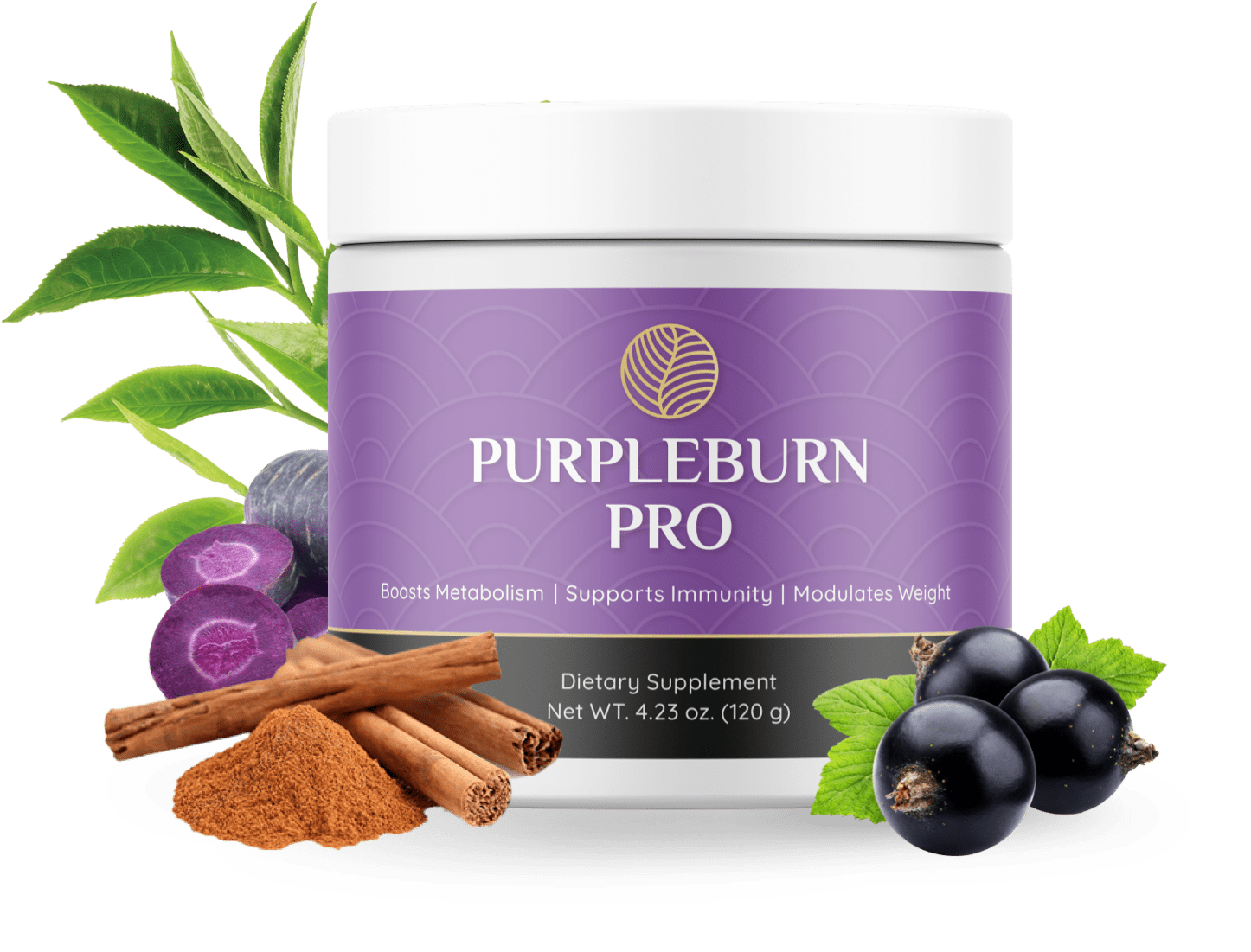 PURPLE BURN PRO